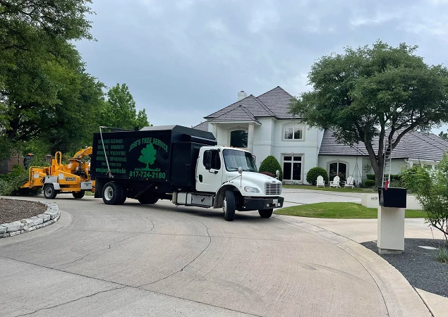 Tree Care in Aledo, TX