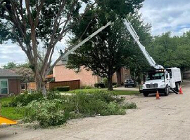 Tree removal equipment Aledo
